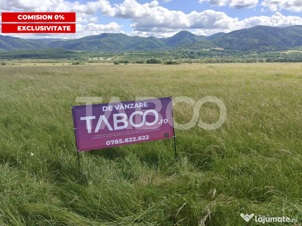 Teren intravilan pretabil hala industriala cu acces la DN - - Saliste (Sibiu)