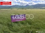 Teren intravilan pretabil hala industriala cu acces la DN -