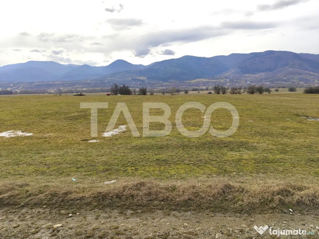 Teren intravilan pretabil hala industriala cu acces la DN - - Saliste (Sibiu)