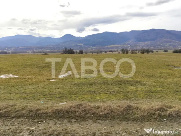 Teren intravilan pretabil hala industriala cu acces la DN - - Saliste (Sibiu)