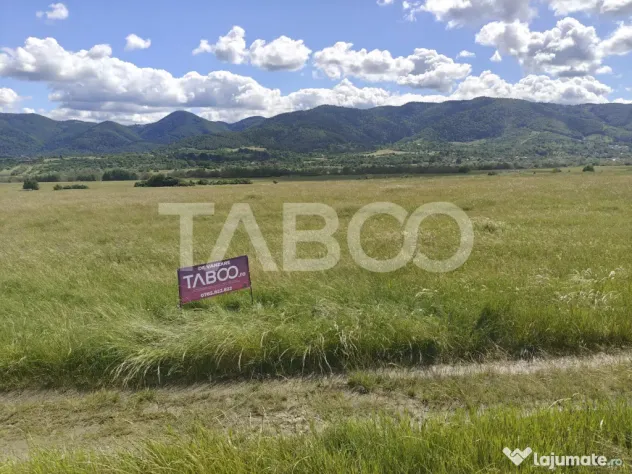 Teren intravilan pretabil hala industriala cu acces la DN - - Saliste (Sibiu)