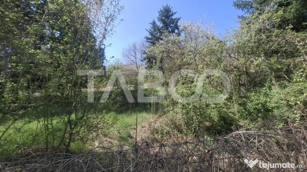 Teren intravilan de vanzare 2700 mp Slimnic Oportunitate inv - Slimnic (Sibiu)