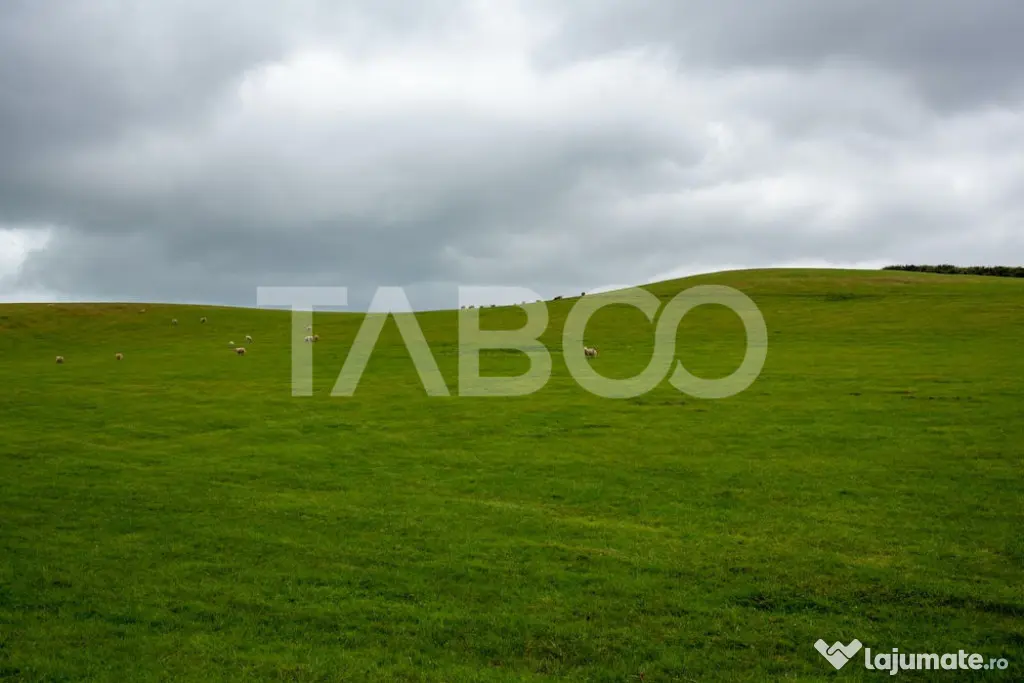 Teren intravilan de vanzare 5.986 mp Dealul Daii Sibiu - Sibiu (Sibiu)