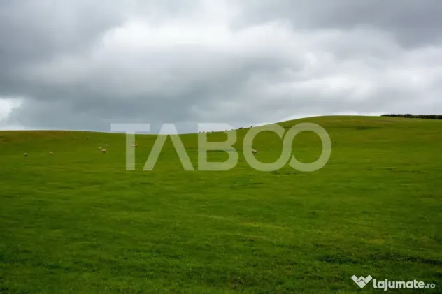 Teren intravilan de vanzare 5.986 mp Dealul Daii Sibiu - Sibiu (Sibiu)