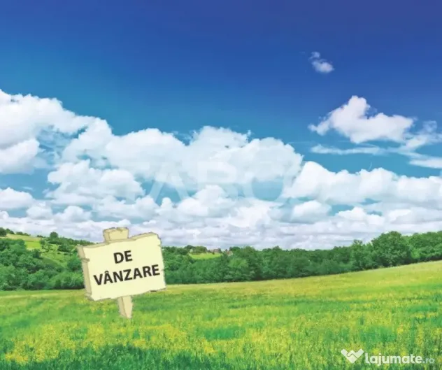 Teren intravilan de vanzare 5.986 mp Dealul Daii Sibiu - Sibiu (Sibiu)