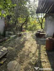 Casă cu potențial + 6.800 mp teren, toate utilitățile, l 