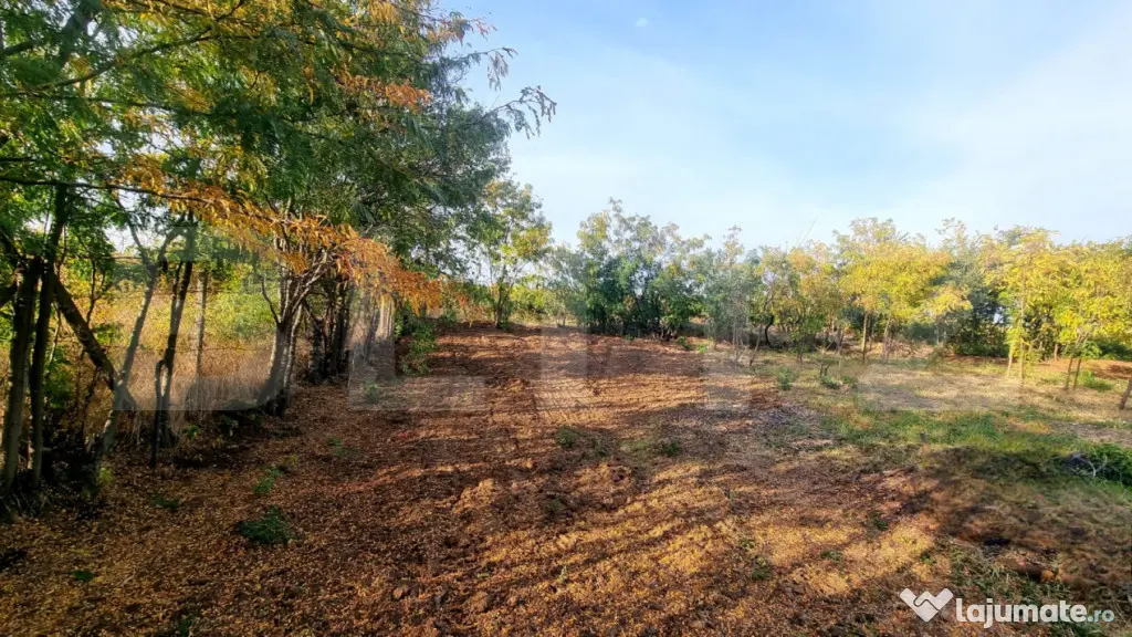 TEREN MIXT DE VÂNZARE – 19.200 MP/V CĂLUGĂREASCĂ - Valea Calugareasca (Prahova)