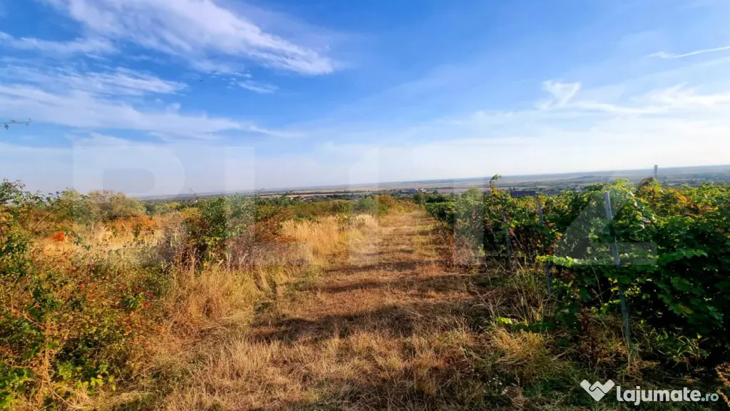 TEREN MIXT DE VÂNZARE – 19.200 MP/V CĂLUGĂREASCĂ - Valea Calugareasca (Prahova)