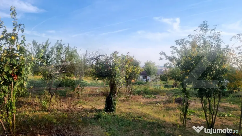 TEREN MIXT DE VÂNZARE – 19.200 MP/V CĂLUGĂREASCĂ - Valea Calugareasca (Prahova)
