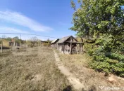 Casa de vanzare, 77 mp, teren 38 ari, zona Viile Satu Mare