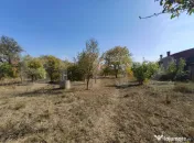 Casa de vanzare, 77 mp, teren 38 ari, zona Viile Satu Mare
