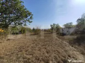 Casa de vanzare, 77 mp, teren 38 ari, zona Viile Satu Mare