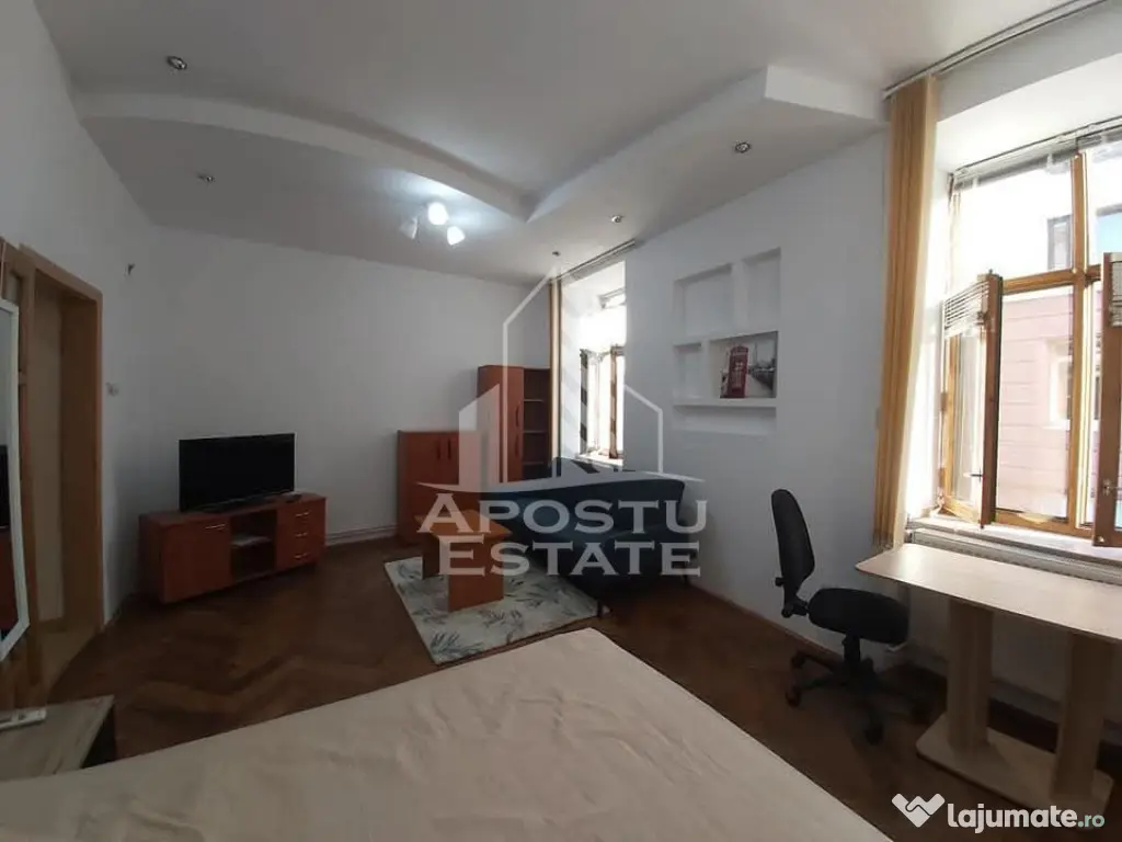 Apartament cu 1 camera in Piata Unirii Timisoara - Timisoara (Timis)