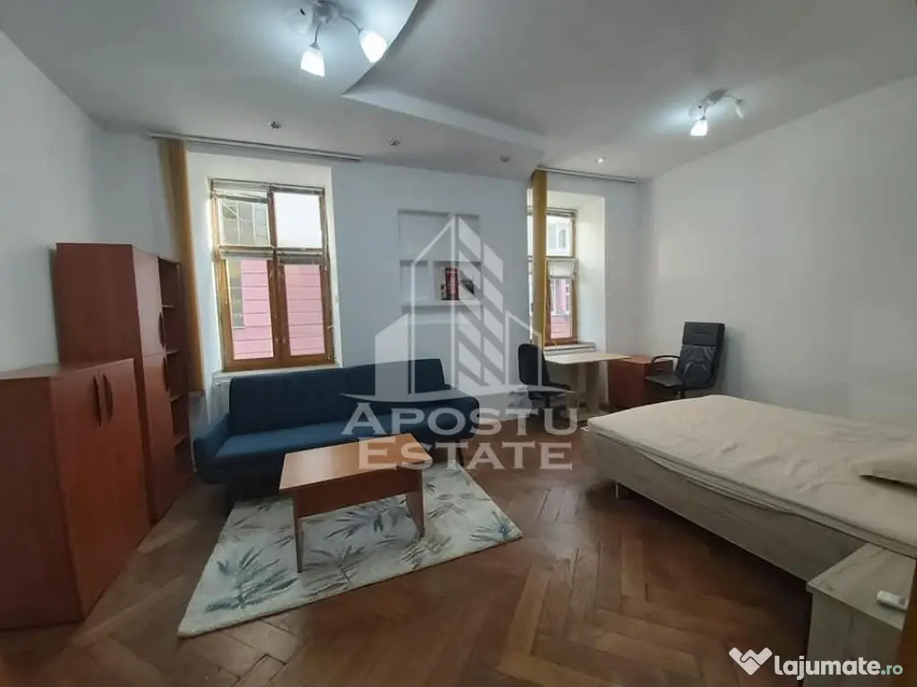 Apartament cu 1 camera in Piata Unirii Timisoara - Timisoara (Timis)