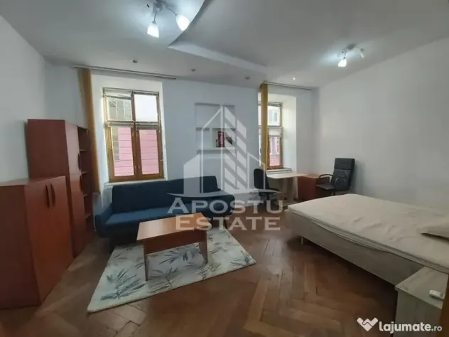 Apartament cu 1 camera in Piata Unirii Timisoara - Timisoara (Timis)