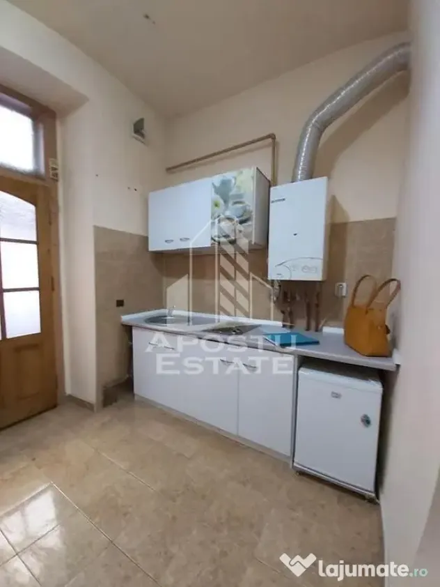 Apartament cu 1 camera in Piata Unirii Timisoara - Timisoara (Timis)