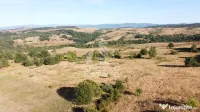 Teren de 50.000mp, priveliste panoramica spre munte si lac, Hunedoara 