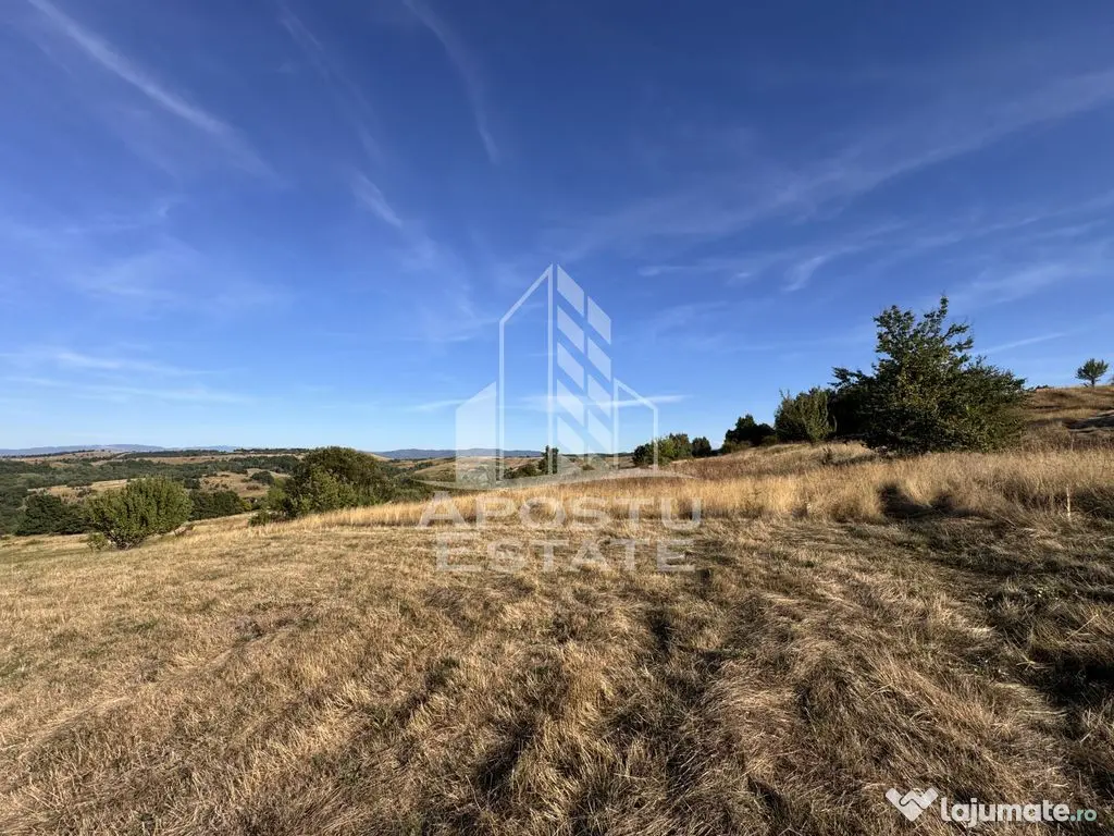 Teren de 50.000mp, priveliste panoramica spre munte si lac, Hunedoara - Izvoarele (Hunedoara)
