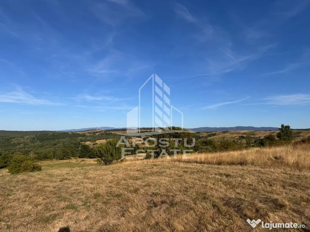 Teren de 50.000mp, priveliste panoramica spre munte si lac, Hunedoara - Izvoarele (Hunedoara)