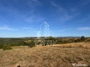 Teren de 50.000mp, priveliste panoramica spre munte si lac, Hunedoara
