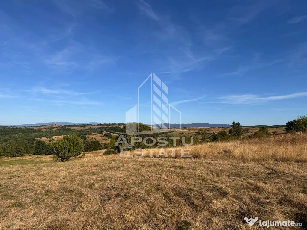 Teren de 50.000mp, priveliste panoramica spre munte si lac, Hunedoara - Izvoarele (Hunedoara)