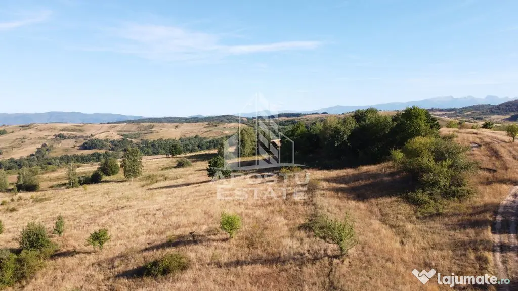 Teren de 50.000mp, priveliste panoramica spre munte si lac, Hunedoara - Izvoarele (Hunedoara)
