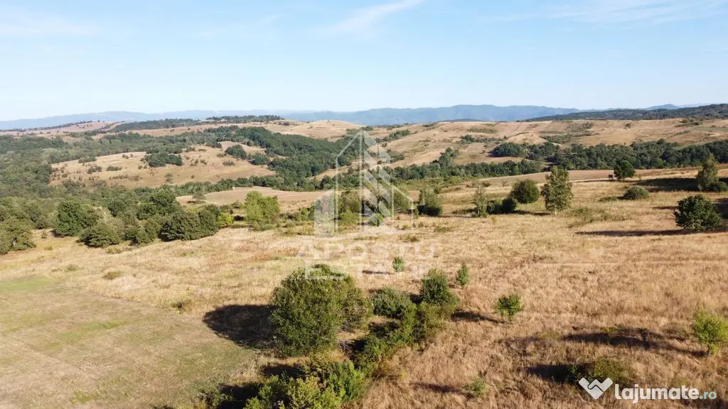 Teren de 50.000mp, priveliste panoramica spre munte si lac, Hunedoara - Izvoarele (Hunedoara)