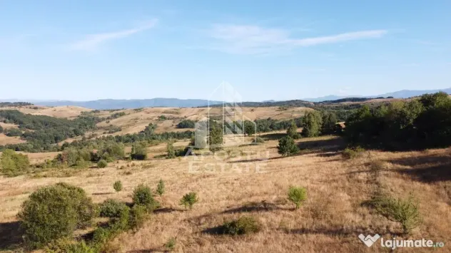 Teren de 50.000mp, priveliste panoramica spre munte si lac, Hunedoara - Izvoarele (Hunedoara)