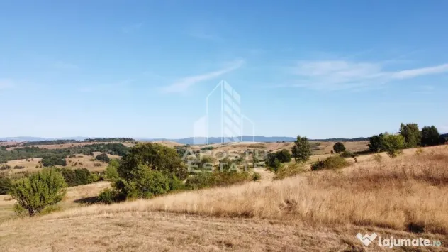 Teren de 50.000mp, priveliste panoramica spre munte si lac, Hunedoara - Izvoarele (Hunedoara)