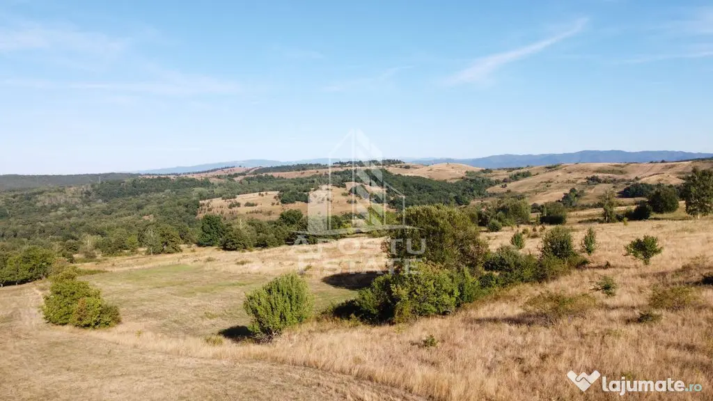 Teren de 50.000mp, priveliste panoramica spre munte si lac, Hunedoara - Izvoarele (Hunedoara)