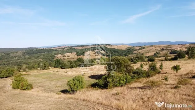 Teren de 50.000mp, priveliste panoramica spre munte si lac, Hunedoara - Izvoarele (Hunedoara)