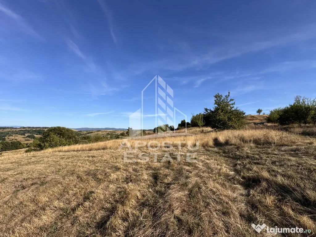 Teren de 50.000mp, priveliste panoramica spre munte si lac, Hunedoara - Izvoarele (Hunedoara)