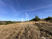 Teren de 50.000mp, priveliste panoramica spre munte si lac, Hunedoara