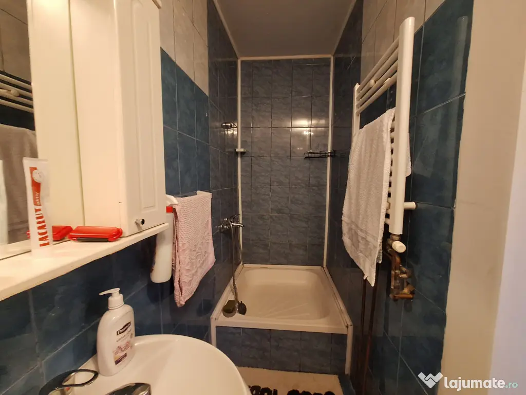 Apartament cu personalitate in Elisabetin – 37,55 mp-Parte - Timisoara (Timis)