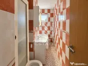 Apartament de vanzare cu 1 camera, Bloc izolat, zona Sagului 