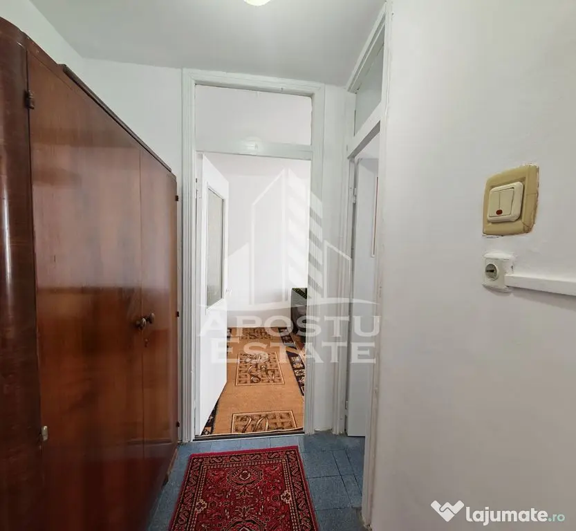 Apartament cu 2 camere, de inchiriat, centrala proprie, zona Lipovei - Timisoara (Timis)
