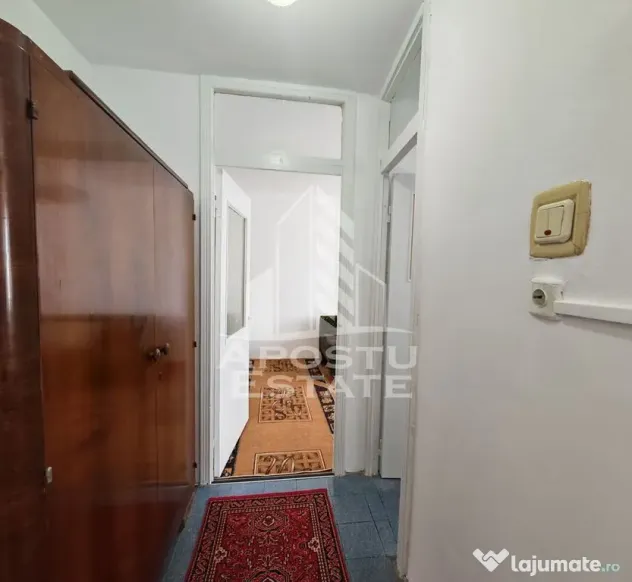 Apartament cu 2 camere, de inchiriat, centrala proprie, zona Lipovei - Timisoara (Timis)