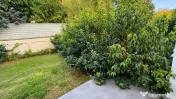 2 camere birou I Gradina generoasa I Loc de parcare I Petrom City