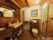 Casă de vacanță de vânzare – Săcărâmb, Munții Metaliferi 