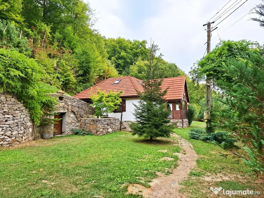 Casă de vacanță de vânzare – Săcărâmb, Munții Metaliferi - Sacaramb (Hunedoara)
