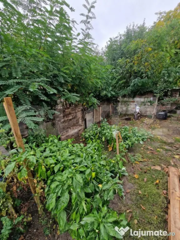 Teren intravilan de vânzare, 320 mp, zona Titulescu - Satu Mare (Satu-Mare)