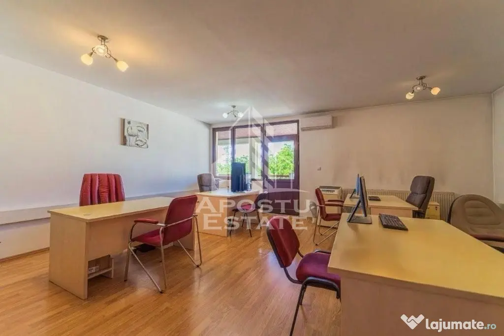 DE VÂNZARE Casa individuala cu poziție și vizibilitate - Timisoara (Timis)