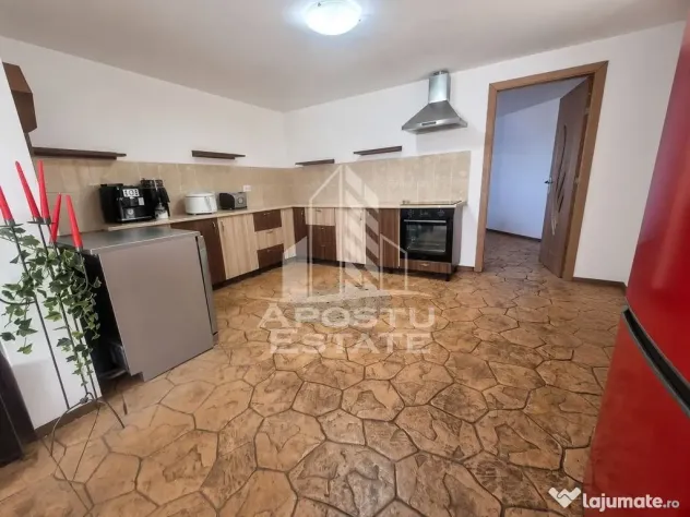 Casa individuala de vanzare, Beregsau Mare, Judet Timis - Beregsau Mare (Timis)