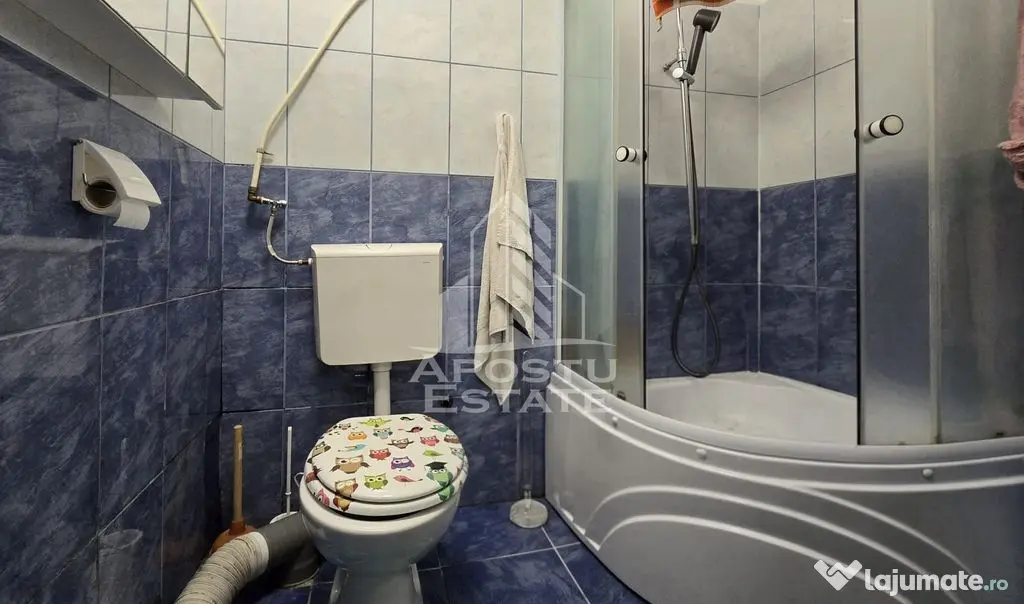 Casa individuala 4 camere , se accepta schimb, Comision ZERO% - Timisoara (Timis)