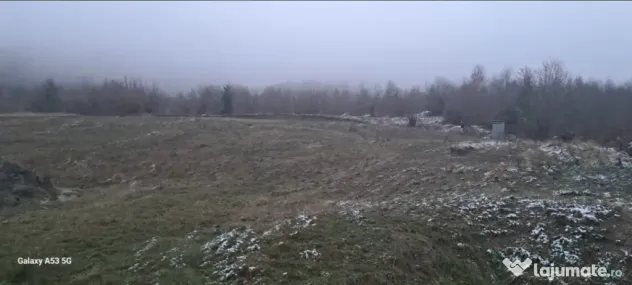 Vand teren extravilan 43 ari