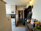 Apartament 2 camere de vanzare, zona Dambovita, Timisoara 