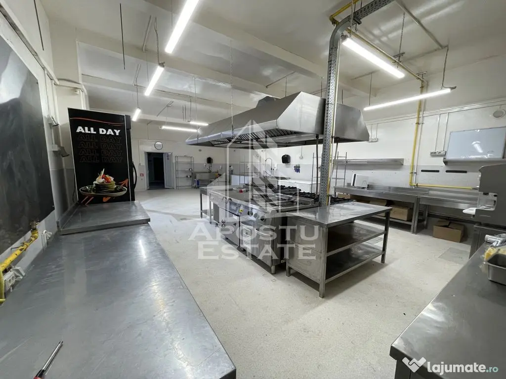 Spatiu comercial avizat DSV, bucatarie utilata, Girocului. - Timisoara (Timis)