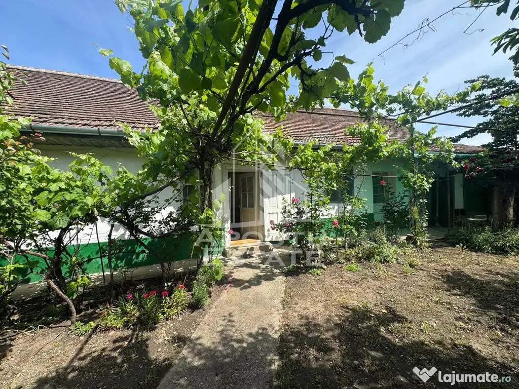 Teren comercial 1.273 mp + construcție Calea Timisorii - Arad (Arad)