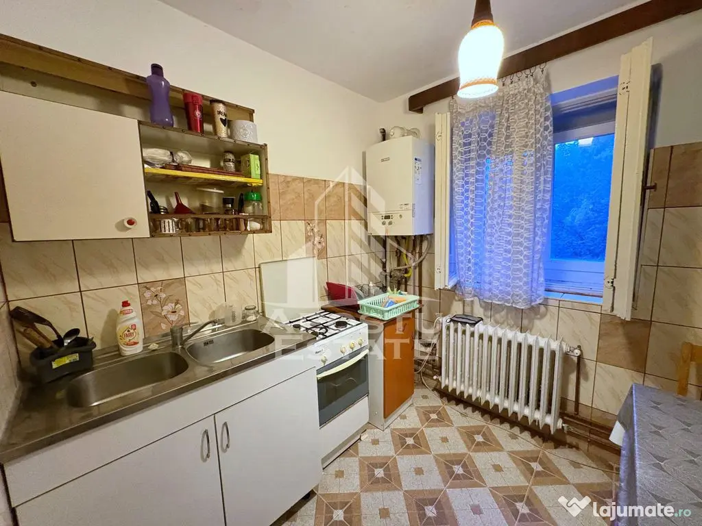 Apartament cu 2 camere de inchiriat in zona Medicina Timisoara - Timisoara (Timis)