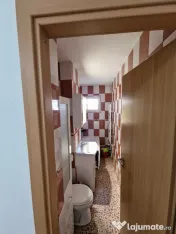 Apartament cu o camera, 28 mp utili, mobilat - Sagului